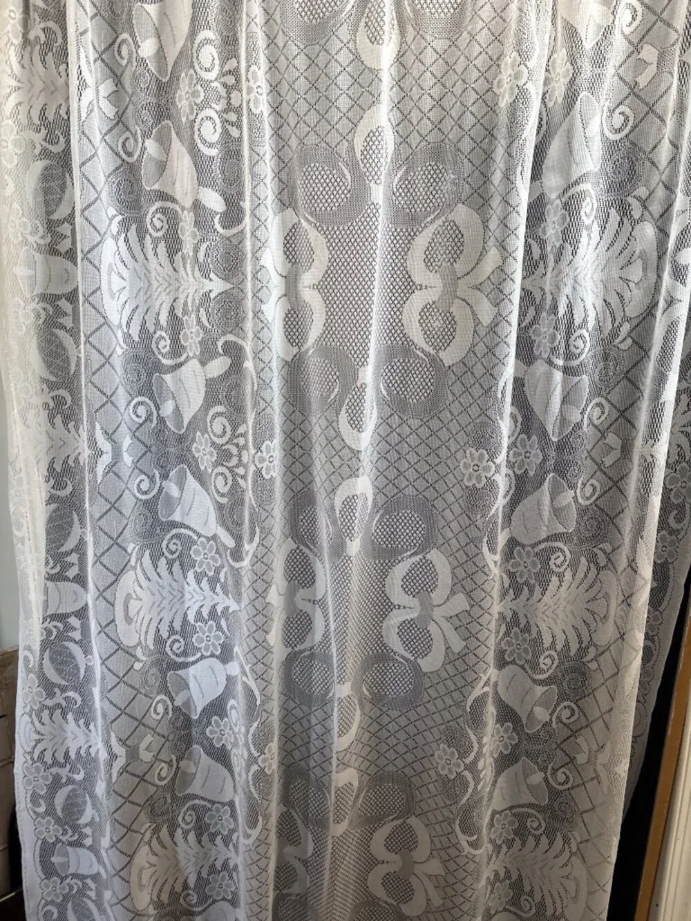 Lace Curtain Panel 60